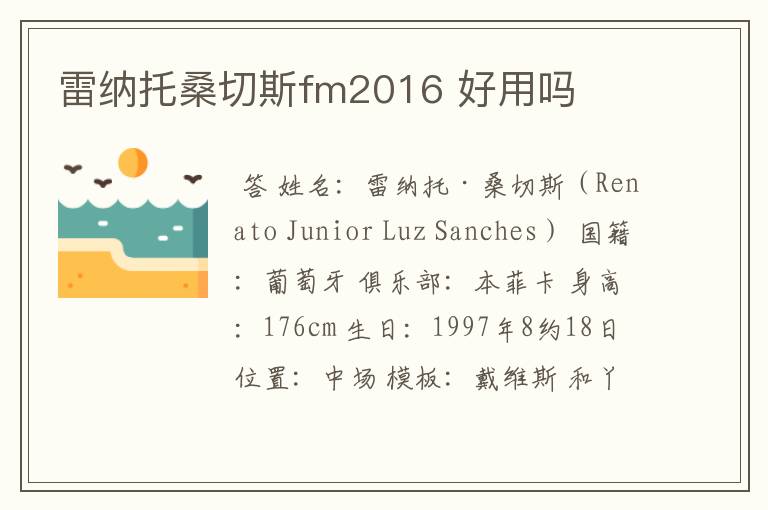 雷纳托桑切斯fm2016 好用吗