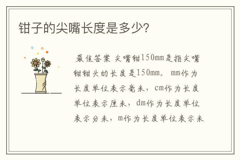钳子的尖嘴长度是多少?