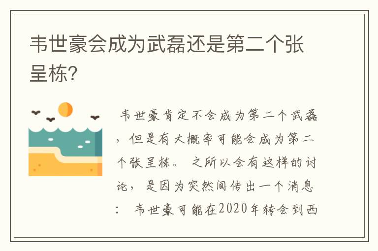 韦世豪会成为武磊还是第二个张呈栋?