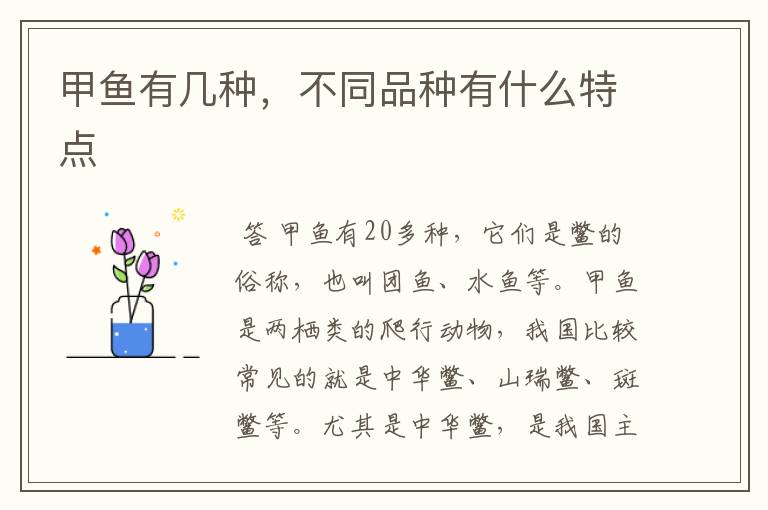 甲鱼有几种,不同品种有什么特点
