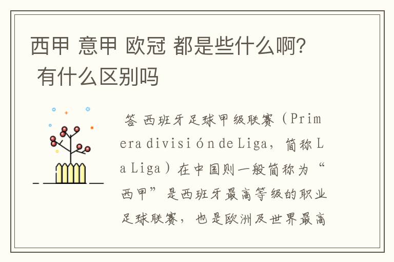 西甲 意甲 欧冠 都是些什么啊? 有什么区别吗