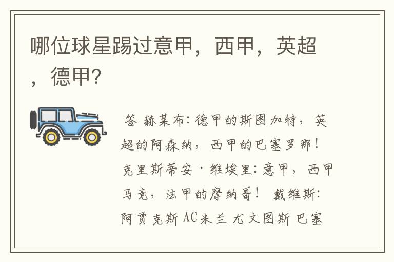 哪位球星踢过意甲,西甲,英超,德甲?