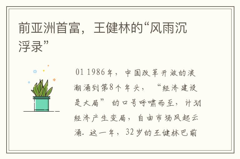 前亚洲首富,王健林的“风雨沉浮录”