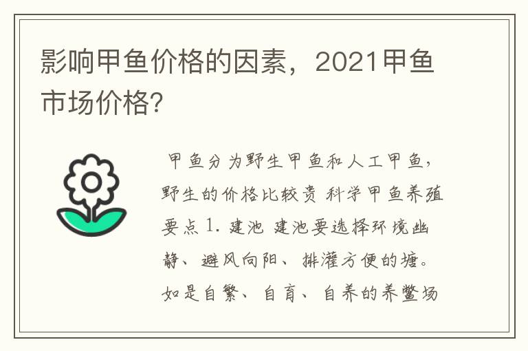 影响甲鱼价格的因素，2021甲鱼市场价格？