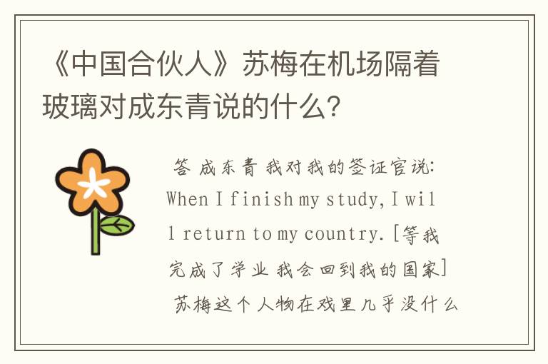 《中国合伙人》苏梅在机场隔着玻璃对成东青说的什么?