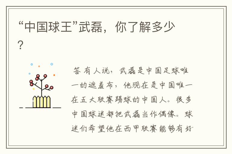 “中国球王”武磊,你了解多少?
