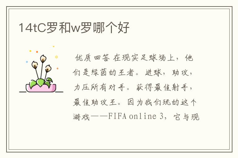 14tC罗和w罗哪个好