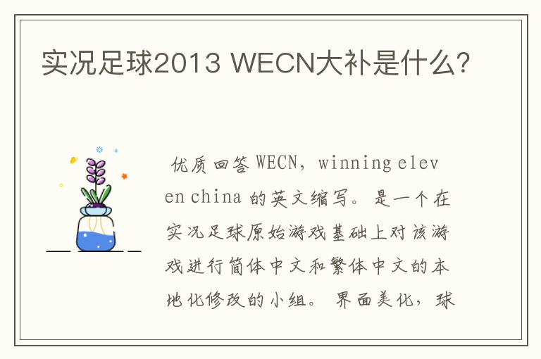 实况足球2013 WECN大补是什么？