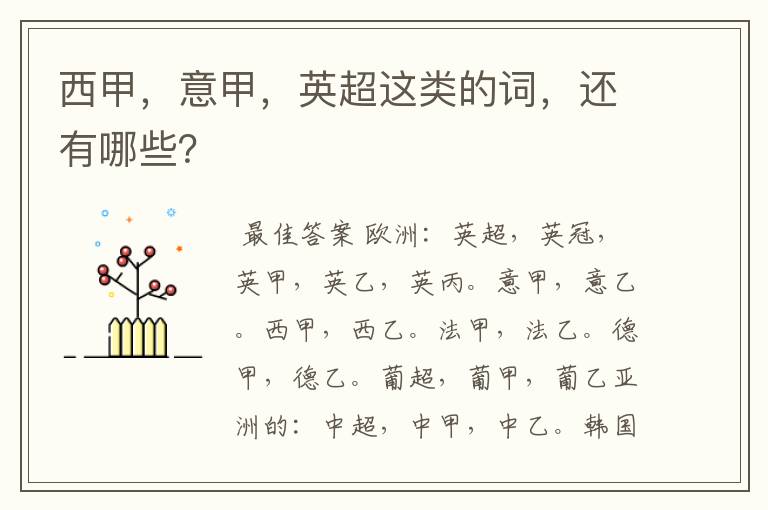西甲,意甲,英超这类的词,还有哪些?