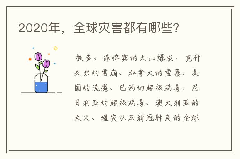 2020年,全球灾害都有哪些?