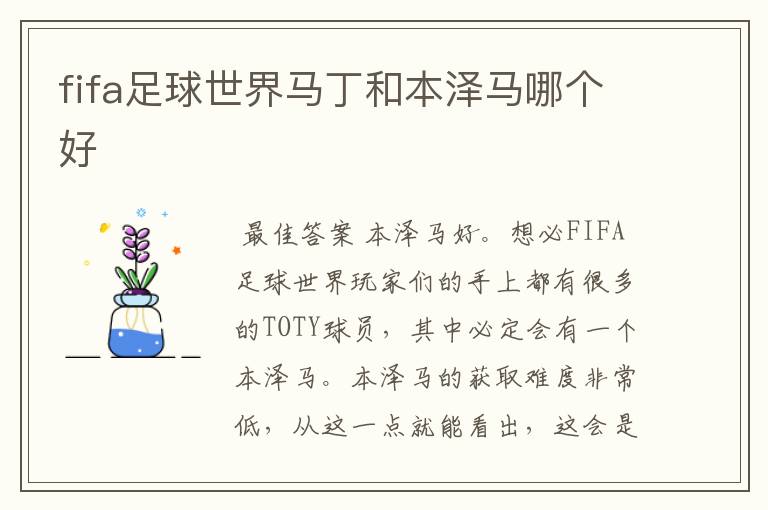 fifa足球世界马丁和本泽马哪个好