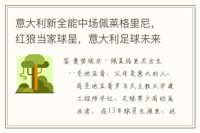 意大利新全能中场佩莱格里尼,红狼当家球星,意大利足球未来可期