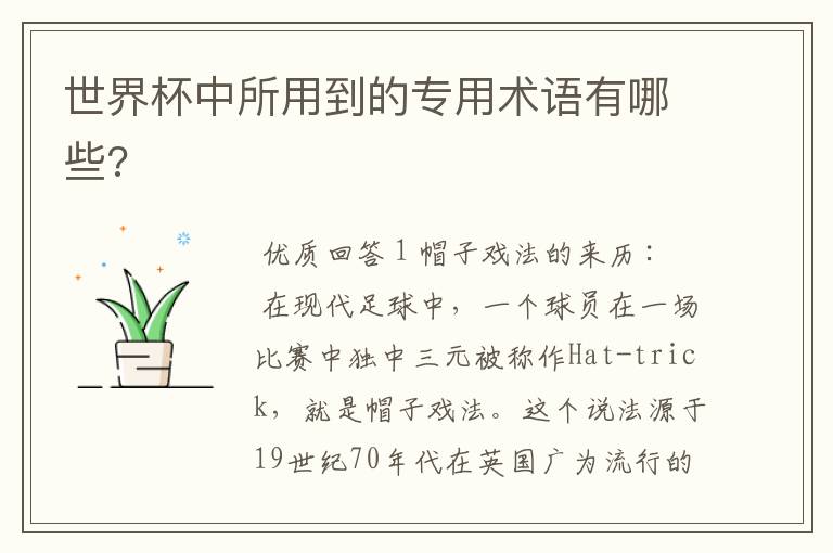 世界杯中所用到的专用术语有哪些?