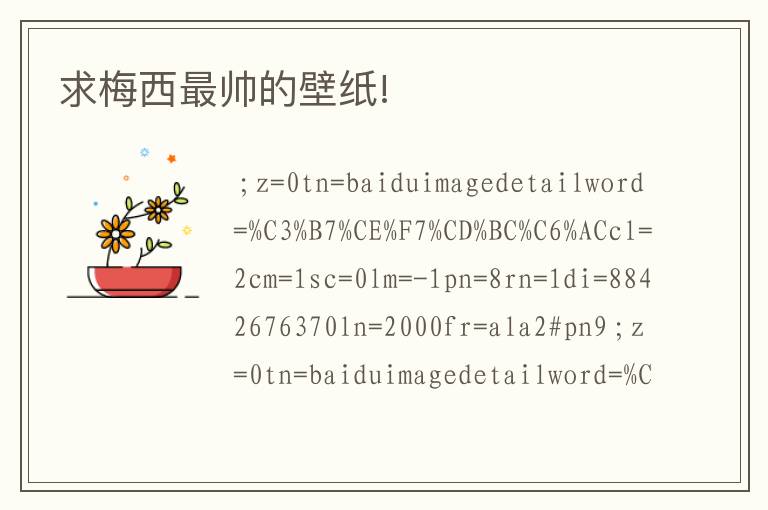 求梅西最帅的壁纸!