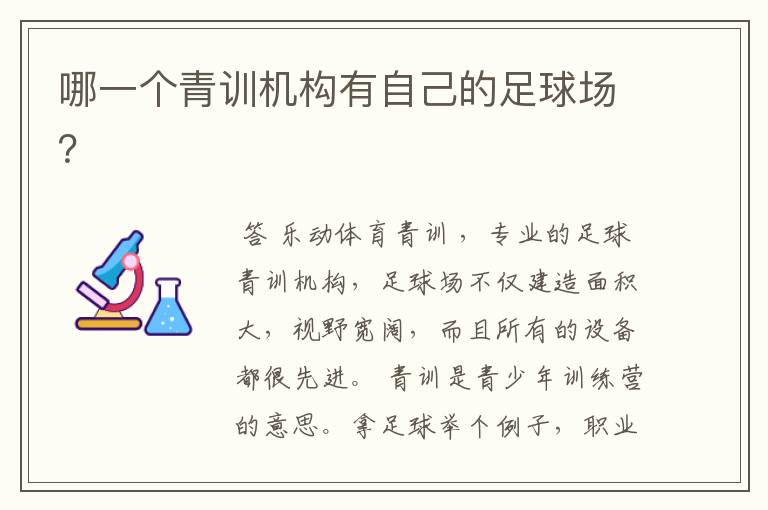 哪一个青训机构有自己的足球场?