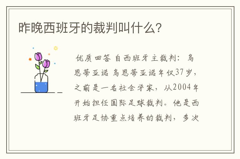 昨晚西班牙的裁判叫什么?