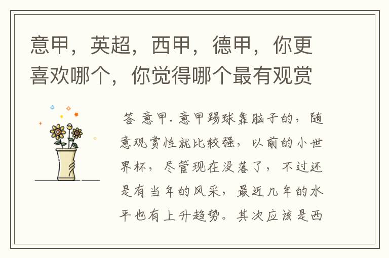 意甲,英超,西甲,德甲,你更喜欢哪个,你觉得哪个最有观赏性