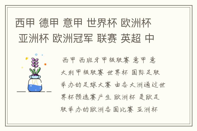 西甲 德甲 意甲 世界杯 欧洲杯 亚洲杯 欧洲冠军 联赛 英超 中超 分别是什么意思啊?