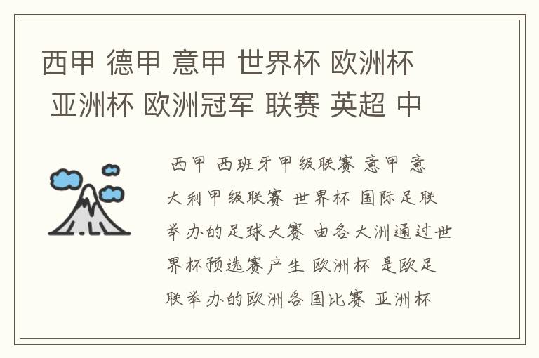 西甲 德甲 意甲 世界杯 欧洲杯 亚洲杯 欧洲冠军 联赛 英超 中超 分别是什么意思啊?
