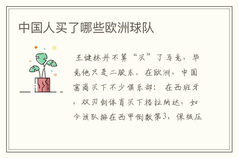 中国人买了哪些欧洲球队