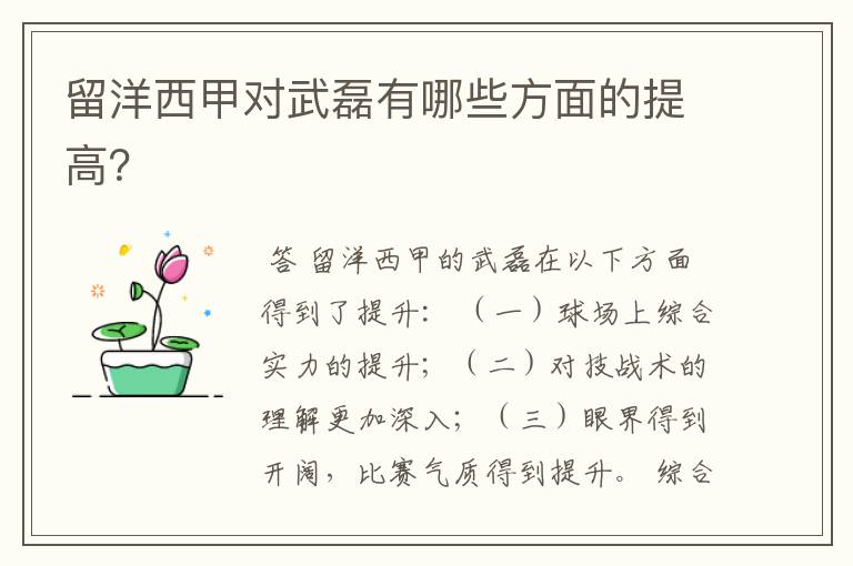 留洋西甲对武磊有哪些方面的提高?