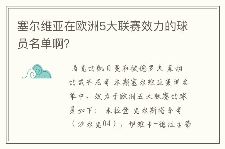 塞尔维亚在欧洲5大联赛效力的球员名单啊?