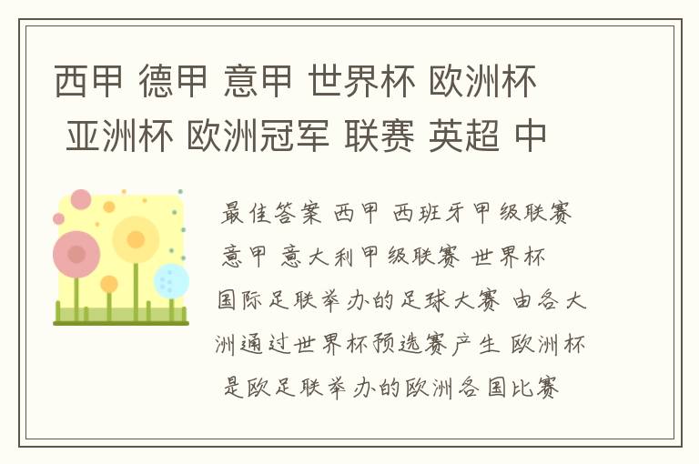西甲 德甲 意甲 世界杯 欧洲杯 亚洲杯 欧洲冠军 联赛 英超 中超 分别是什么意思啊?