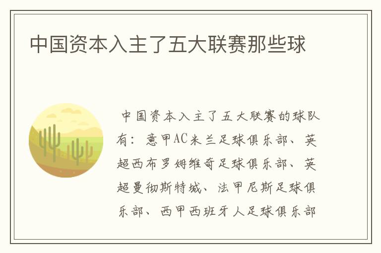 中国资本入主了五大联赛那些球ɘ
