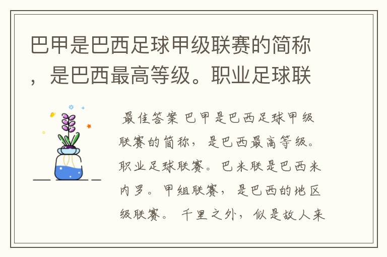 巴甲是巴西足球甲级联赛的简称,是巴西最高等级。职业足球联赛。巴米联是巴西米内罗。甲组联赛。