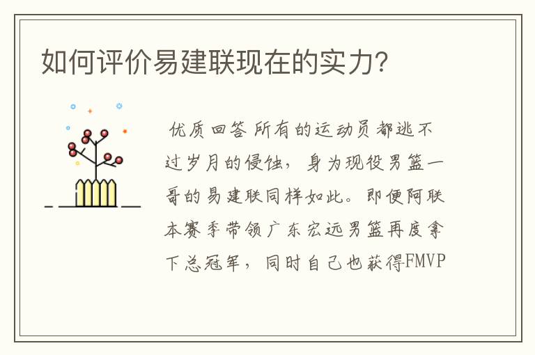 如何评价易建联现在的实力?