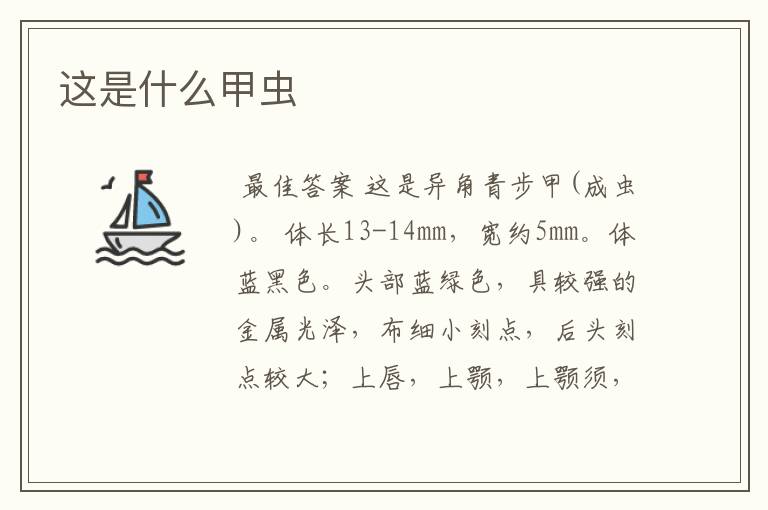 这是什么甲虫