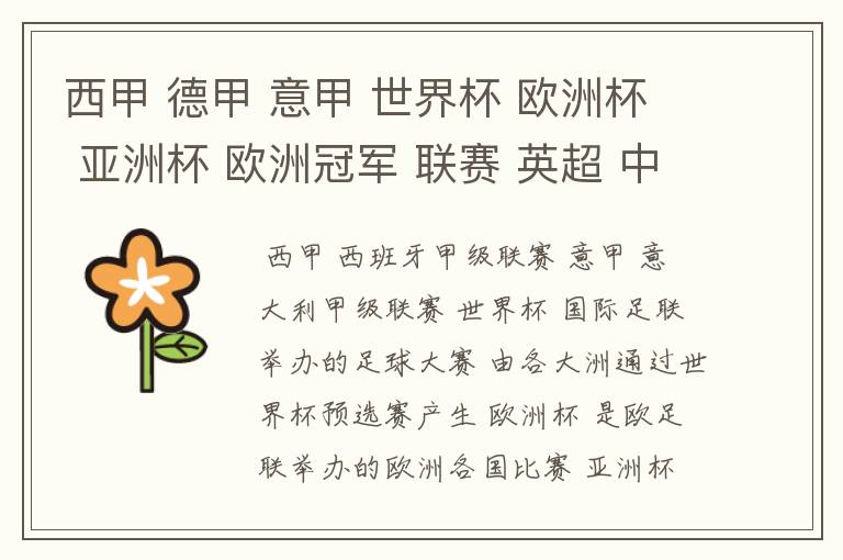西甲 德甲 意甲 世界杯 欧洲杯 亚洲杯 欧洲冠军 联赛 英超 中超 分别是什么意思啊?