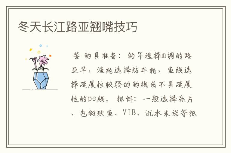 冬天长江路亚翘嘴技巧