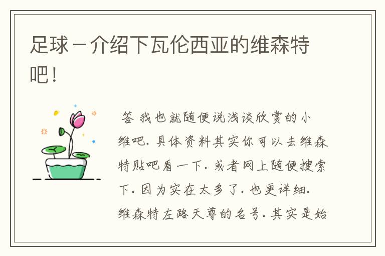足球-介绍下瓦伦西亚的维森特吧!