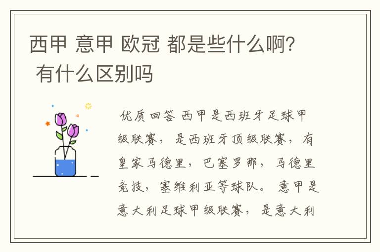 西甲 意甲 欧冠 都是些什么啊? 有什么区别吗