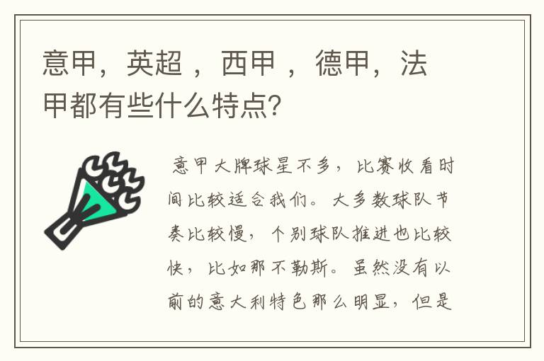 意甲,英超 ,西甲 ,德甲,法甲都有些什么特点?