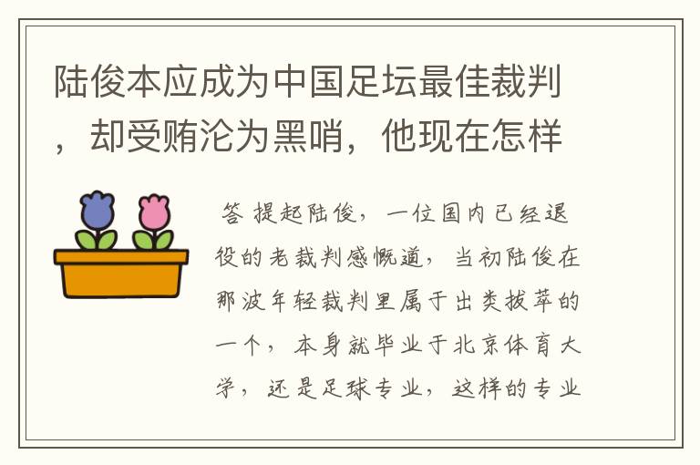 陆俊本应成为中国足坛最佳裁判,却受贿沦为黑哨,他现在怎样了?