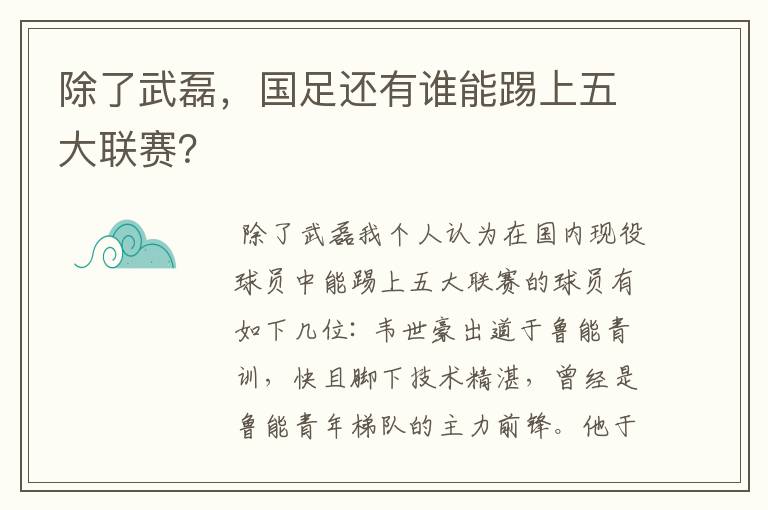 除了武磊,国足还有谁能踢上五大联赛?