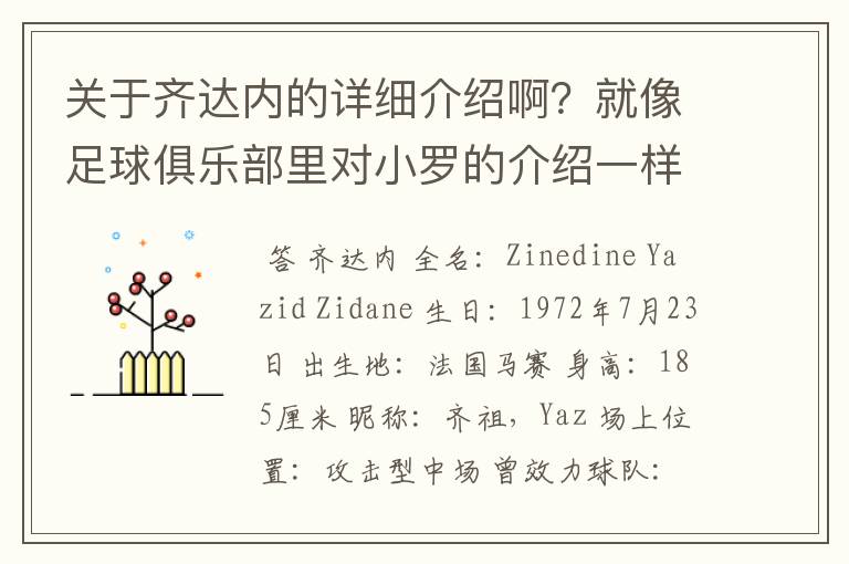 关于齐达内的详细介绍啊？就像足球俱乐部里对小罗的介绍一样，要从幼年开始的特别是他的坎坷的那一段