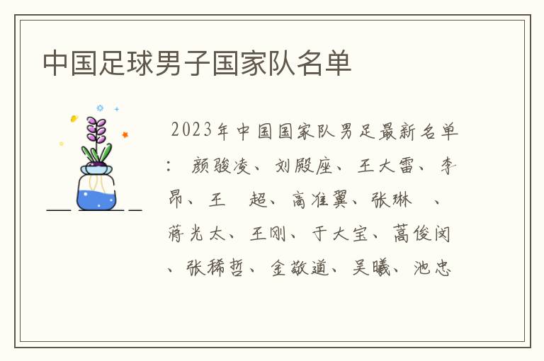 中国足球男子国家队名单