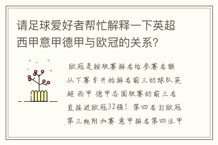 请足球爱好者帮忙解释一下英超西甲意甲德甲与欧冠的关系?