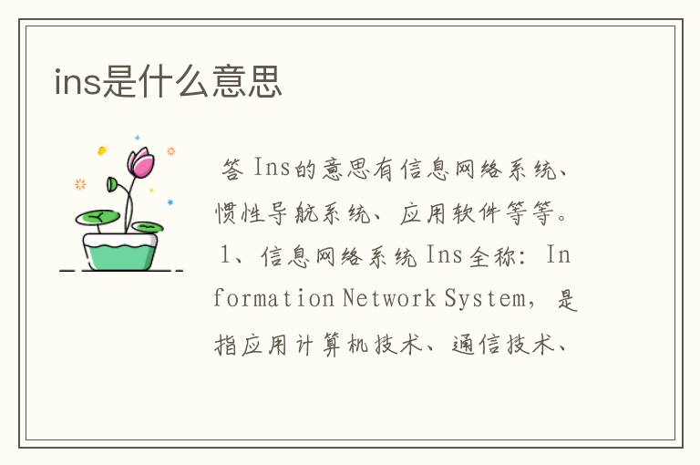 ins是什么意思