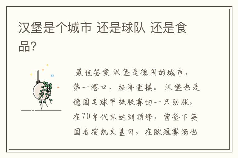 汉堡是个城市 还是球队 还是食品?