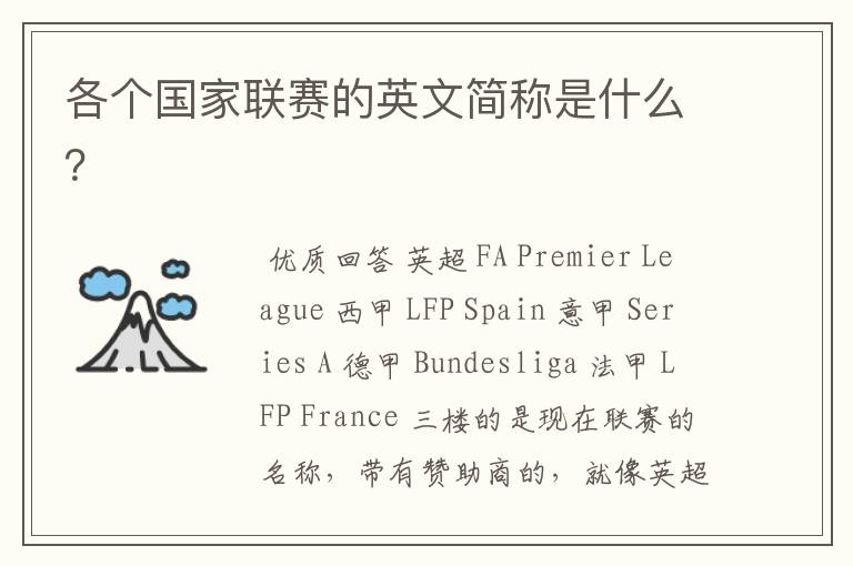 各个国家联赛的英文简称是什么?