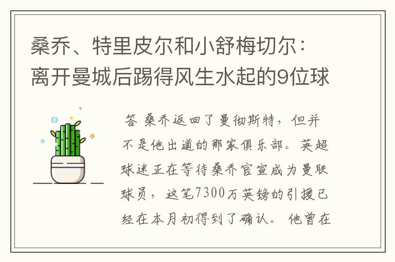 桑乔、特里皮尔和小舒梅切尔:离开曼城后踢得风生水起的9位球员