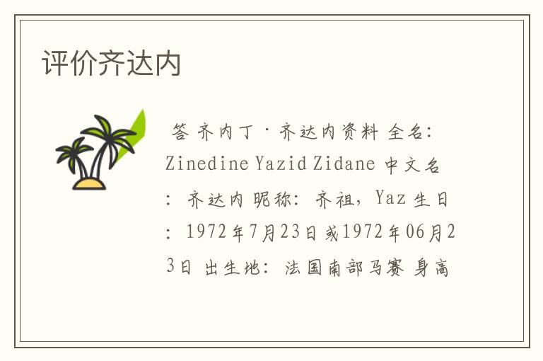 评价齐达内