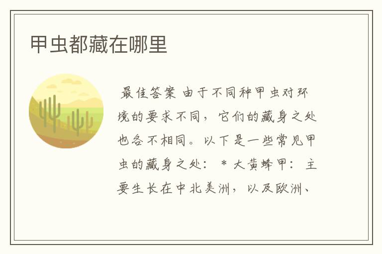 甲虫都藏在哪里