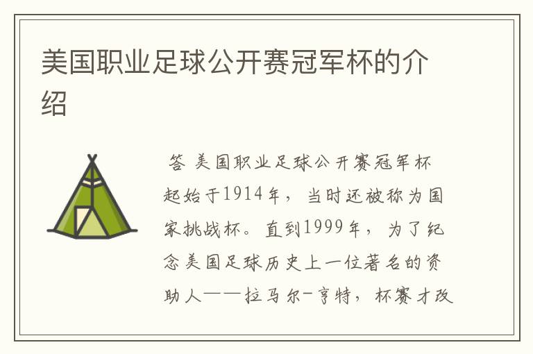 美国职业足球公开赛冠军杯的介绍