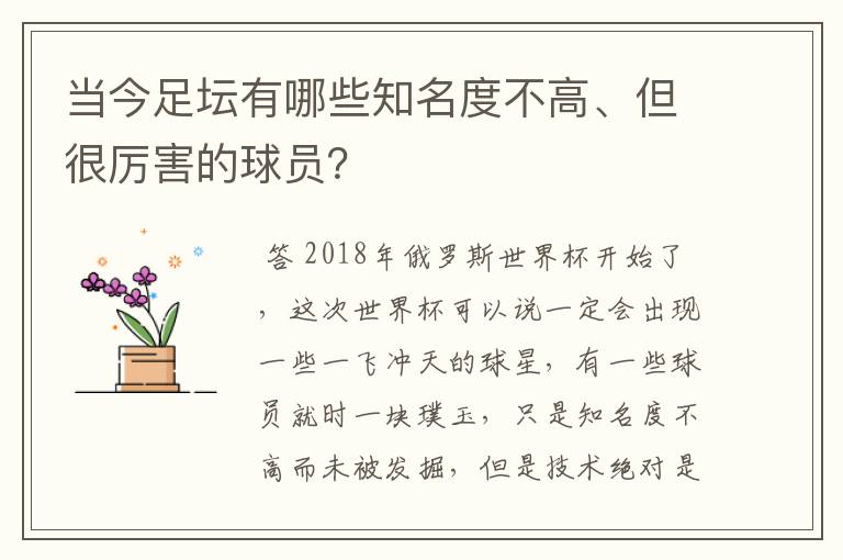 当今足坛有哪些知名度不高、但很厉害的球员?