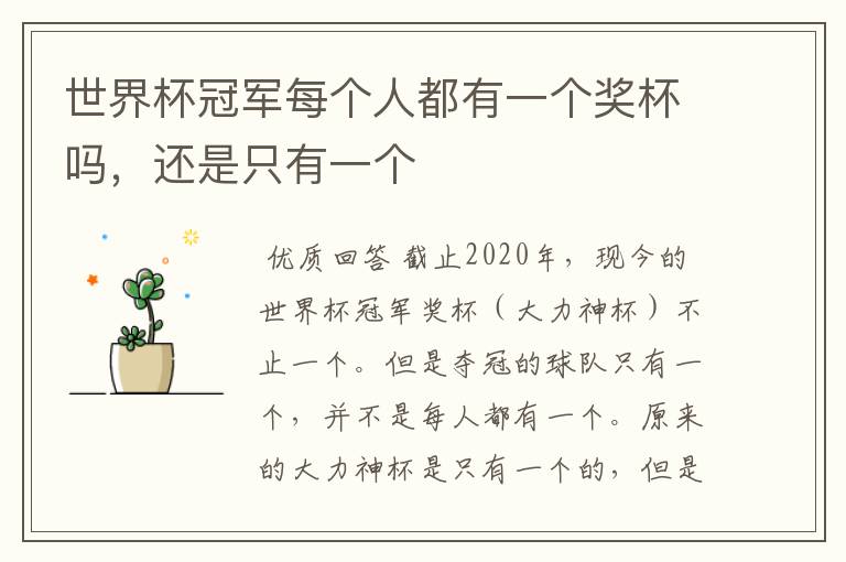 世界杯冠军每个人都有一个奖杯吗,还是只有一个